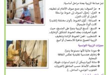 صناعة الزربية في تونس