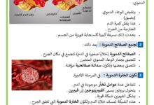 كيف تتم عملية التخثر في الدم السنة 6