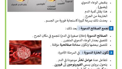 كيف تتم عملية التخثر في الدم السنة 6