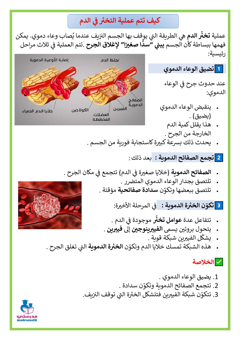 كيف تتم عملية التخثر في الدم السنة 6