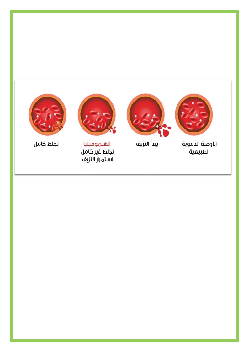 كيف تتم عملية التخثر في الدم السنة 6