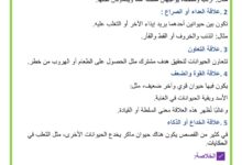 مختلف العلاقات بين الشخصيات في القصة