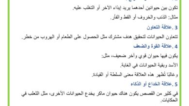 مختلف العلاقات بين الشخصيات في القصة